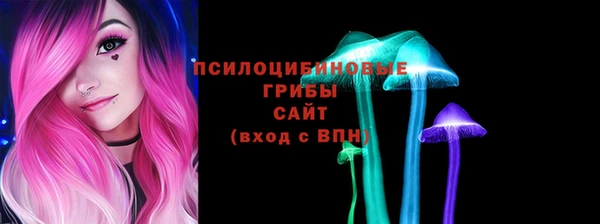 сатива Баксан