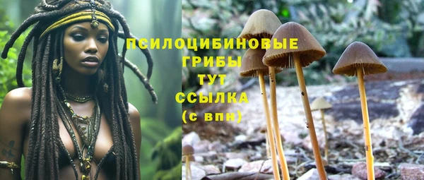 сатива Баксан