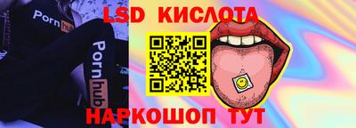 спиды Кингисепп