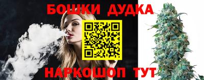 спиды Кингисепп