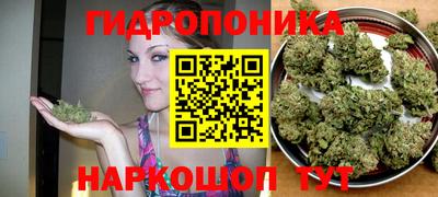 спиды Кингисепп