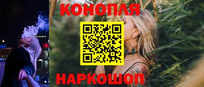 спиды Кингисепп