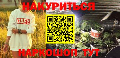 спиды Кингисепп