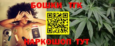 спиды Кингисепп