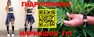 спиды Кингисепп