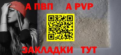 спиды Кингисепп