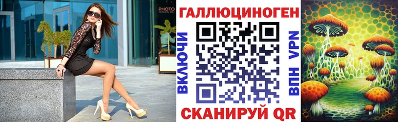 Псилоцибиновые грибы Psilocybe  Можга 